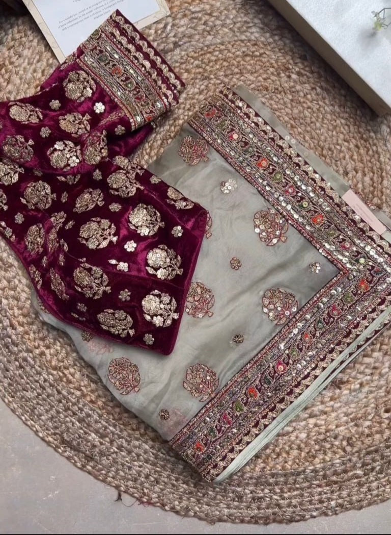 Embroidered Tissue Organza Silk Saree